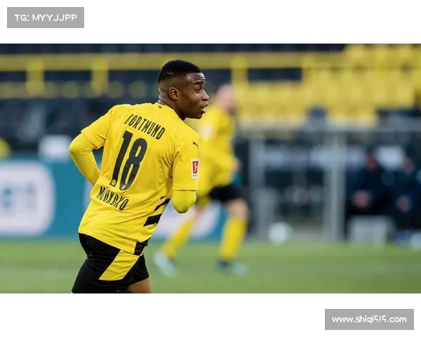 德甲赛季伤病潮分析及对球队战绩影响的深度探讨